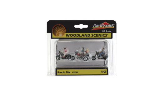 Woodland WAS5549 - H0 Bikerausflug