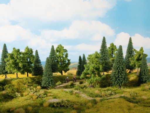 24620.jpg