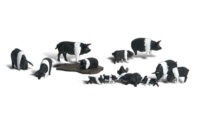 Woodland WA1864 - H0 Hampshire-Schweine