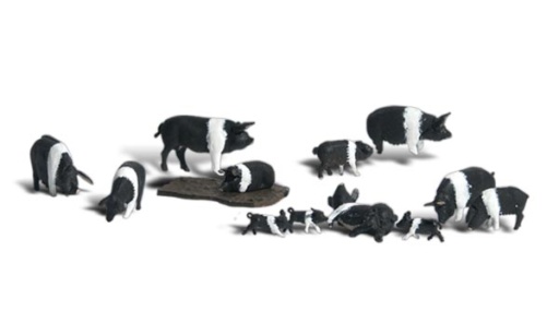Woodland WA1864 - H0 Hampshire-Schweine