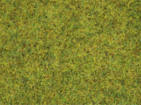Noch 50190 Streugras Sommerwiese, 2,5 mm  
