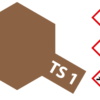 TS-1.jpg